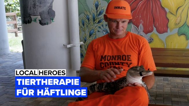 Tiertherapie für Häftlinge in den USA