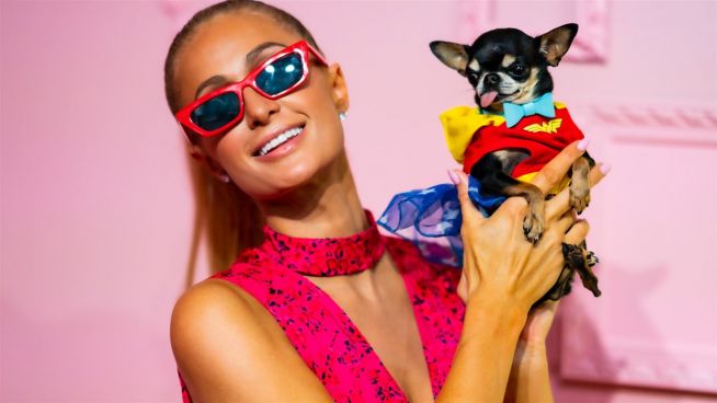 Paris Hilton mit Hund auf Fashionweek DailyNew Blog
